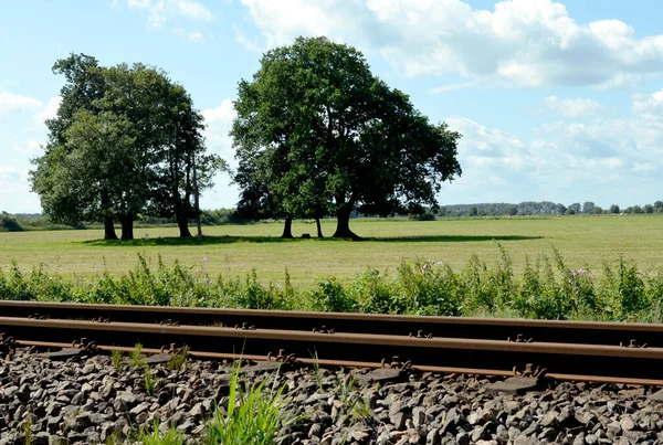 Railway Track Baltic Sea Island Usedom Germany Meadows Trees Blue — Stock Photo, Image