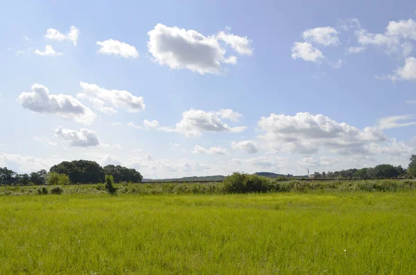 Wiesen Und Bäume Auf Der Ostseeinsel Usedom Deutschland Unter Blauem — Stockfoto