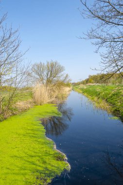 Berlin, Almanya 'nın çevresindeki güneşli bir bahar gününde, küçük bir derenin üzerinde mavi gökyüzü.