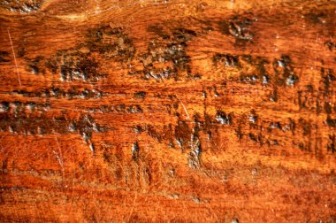 Katı, eskimiş ahşap tahtalardan oluşan arka plan kahverengi-kırmızı renkte.