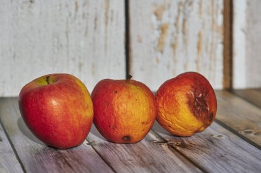 Güneşten yanan elmalar ahşap bir yeraltında süslüdür..