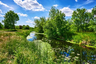 Berlin, Almanya 'nın çevresindeki küçük bir derede güneşli bir gün..