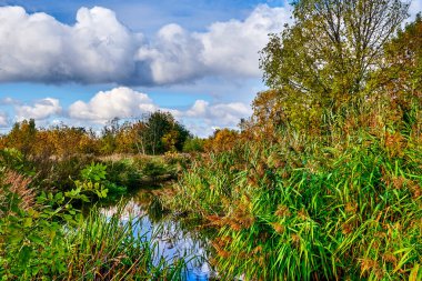 Berlin, Almanya 'nın çevresindeki küçük bir derede güneşli bir gün..
