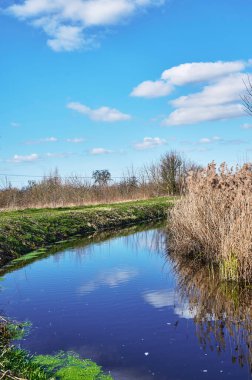 Berlin, Almanya 'nın çevresindeki küçük bir derede güneşli bir gün..