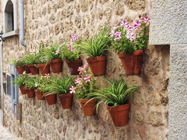 İspanya, Malaga 'da tipik bir sokak, renkli çiçeklerle süslenmiş taş cephelerle.