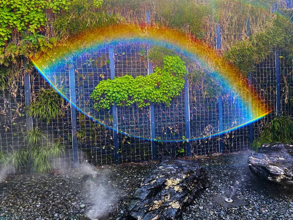 Göz şeklinde bir gökkuşağı yaratan optik efekt Çitin üzerine serpiştirilen bitkiler.