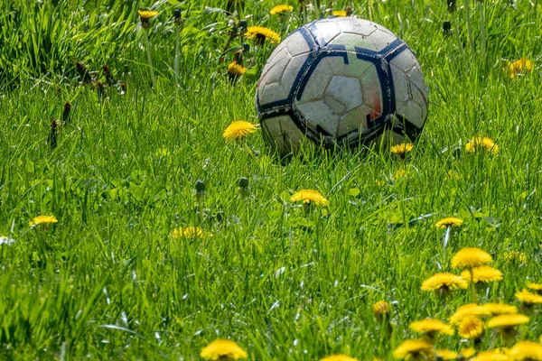 Macro Shot Pallone Calcio Pelle Usurato Sdraiato Prato Con Ranuncoli — Foto Stock