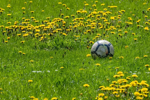 Vista Pallone Calcio Pelle Usurato Sdraiato Prato Con Ranuncoli — Foto Stock