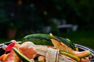 Geri dönüşüm için çeşitli organik atıkları olan bir biyo konteynıra bak.
