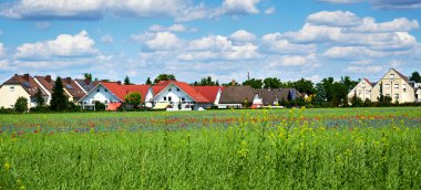 Haşhaş ve kır çiçeklerinin açtığı kır çiçeklerini, beyaz bulutlu mavi gökyüzünün altında, Almanya 'nın Berlin' in bir banliyösüne bakın..