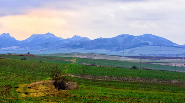 Pemandangan musim semi yang indah di Dobrogea, Rumania — Stok Foto