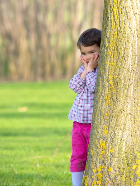 Hübsches kleines Mädchen guckt hinter einem Baum hervor — Stockfoto