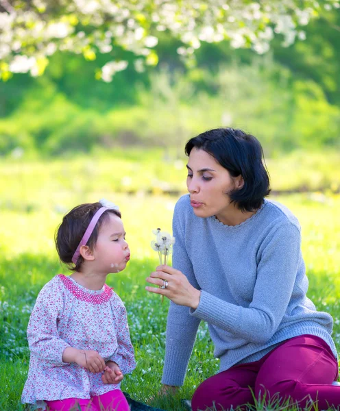 Mutter mit kleiner Tochter bläst zum Löwenzahn - Lifestyleszene im Park — Stockfoto