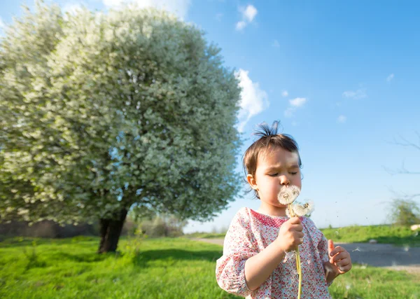 Счастливый ребенок дует одуванчик на открытом воздухе в весеннем парке — стоковое фото