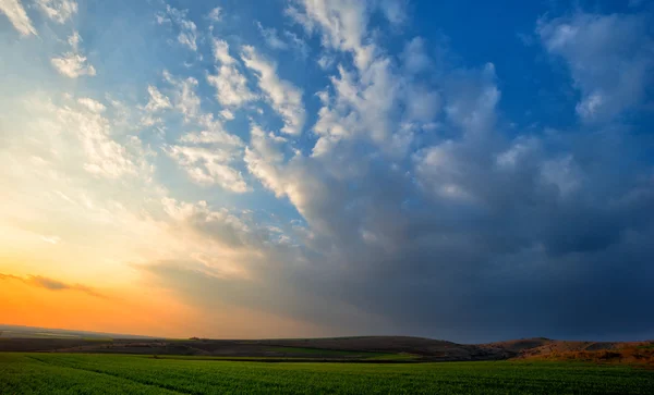 Günbatımı yeşil arazi üzerinde — Stok fotoğraf
