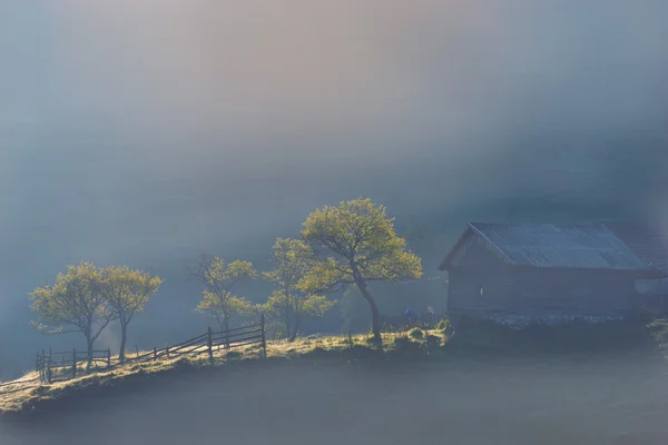 Rumunské horské krajiny s mlhou a stromy — Stock fotografie