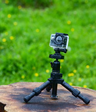 çim alan doğada tripod üzerinde kamera
