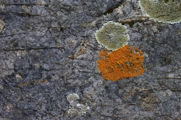 Textura de piedra abstracta fondo —  Fotos de Stock