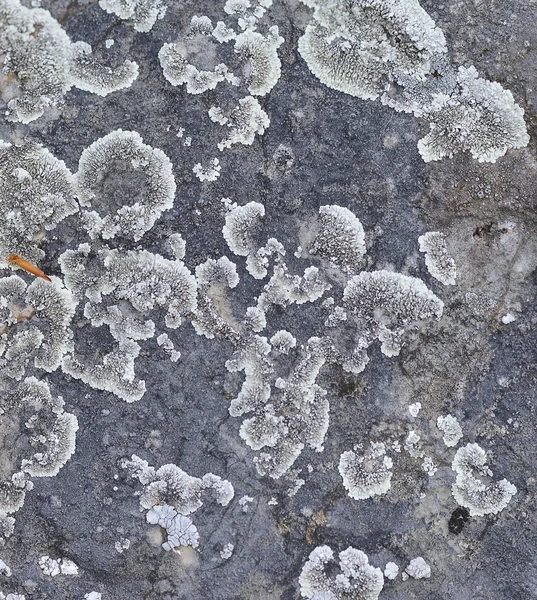 Abstrato pedra textura fundo — Fotografia de Stock