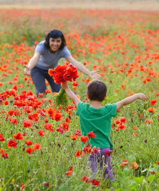 yürümeye başlayan çocuk haşhaş alanı ile oynarken annesi