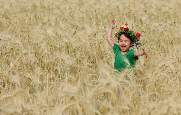 Bonito bebê feliz jogando no campo de trigo — Fotografia de Stock