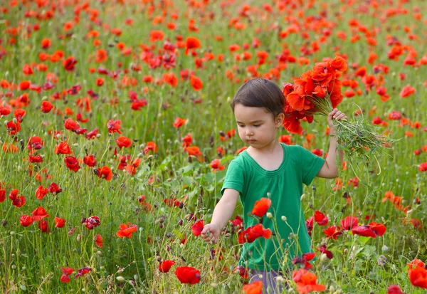 Petite fille mignonne dans un champ de pavot. fille enfant très heureux dans le champ de pavot. Fille en coquelicots — Photo