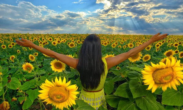 Unbekümmertes Sommermädchen im Sonnenblumenfeld im Sommer mit erhobenen Armen — Stockfoto