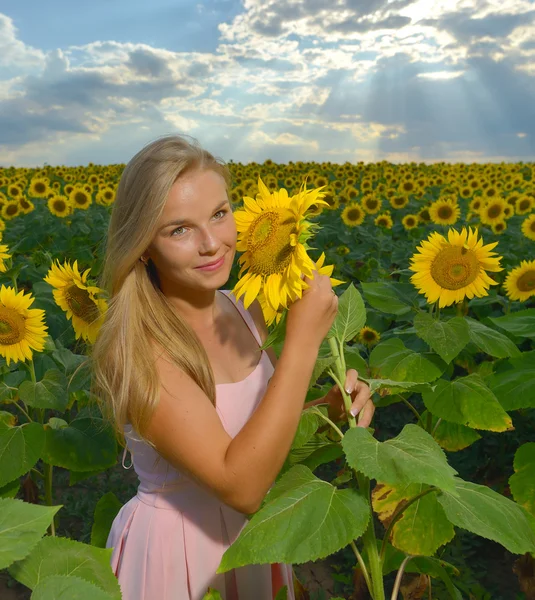 Närbild porträtt av en vacker ung flicka i rosa klänning på en bakgrund fält av solrosor — Stockfoto