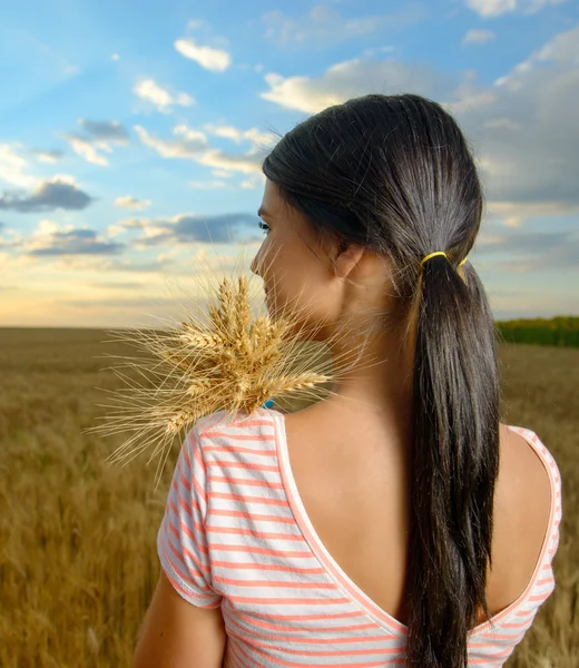 夕暮れ時の麦畑で、若い女性の後ろ姿。ライフ スタイルと幸福の概念 — ストック写真