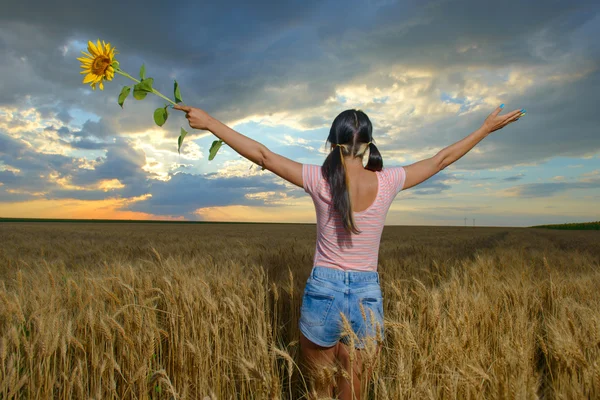 Dívka dává spoustu uši pšenice. Zaměřit se na kytice — Stock fotografie