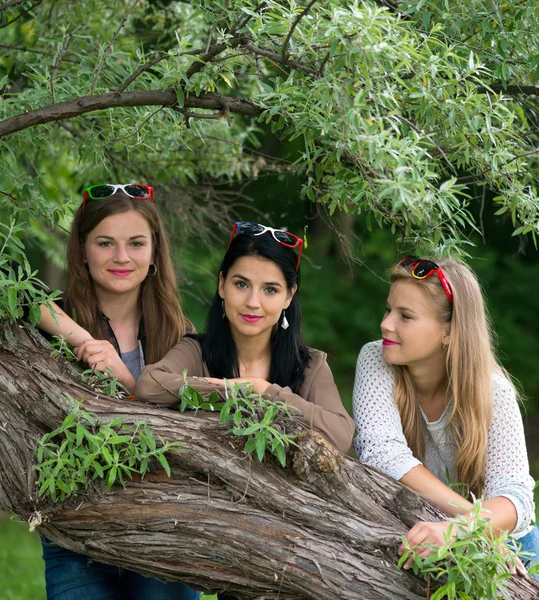Tres jóvenes hermosas damas posando en el parque con gafas de sol de colores — Foto de Stock