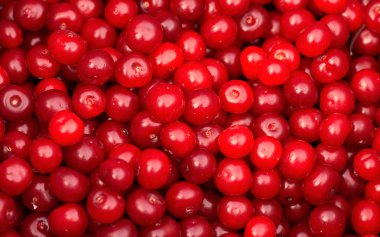 Tencereye ekşi kiraz, reçel pişirmek için hazır.