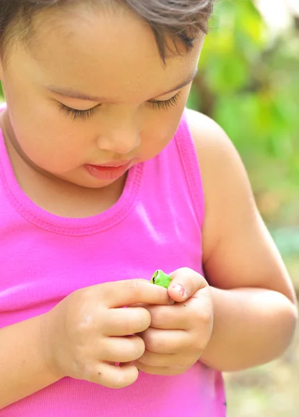 Tiny frog on hands — Stock Photo, Image