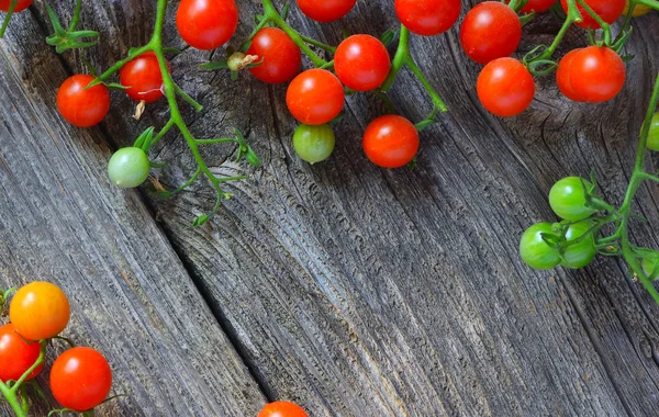 Tomates cerises fraîches sur fond bois rustique — Photo
