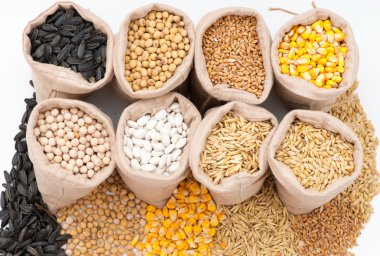 Hububat (yulaf, arpa, buğday, Mısır, fasulye, bezelye, soya, ayçiçeği ile çanta)