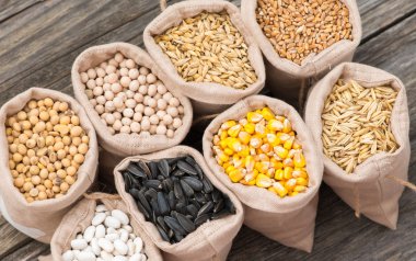 Hububat (yulaf, arpa, buğday, Mısır, fasulye, bezelye, soya, ayçiçeği ile çanta)