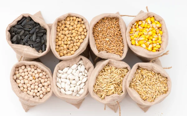 Torby z ziarna zbóż (owies, jęczmień, pszenica, kukurydza, fasola, groch, soi, słonecznika) — Zdjęcie stockowe