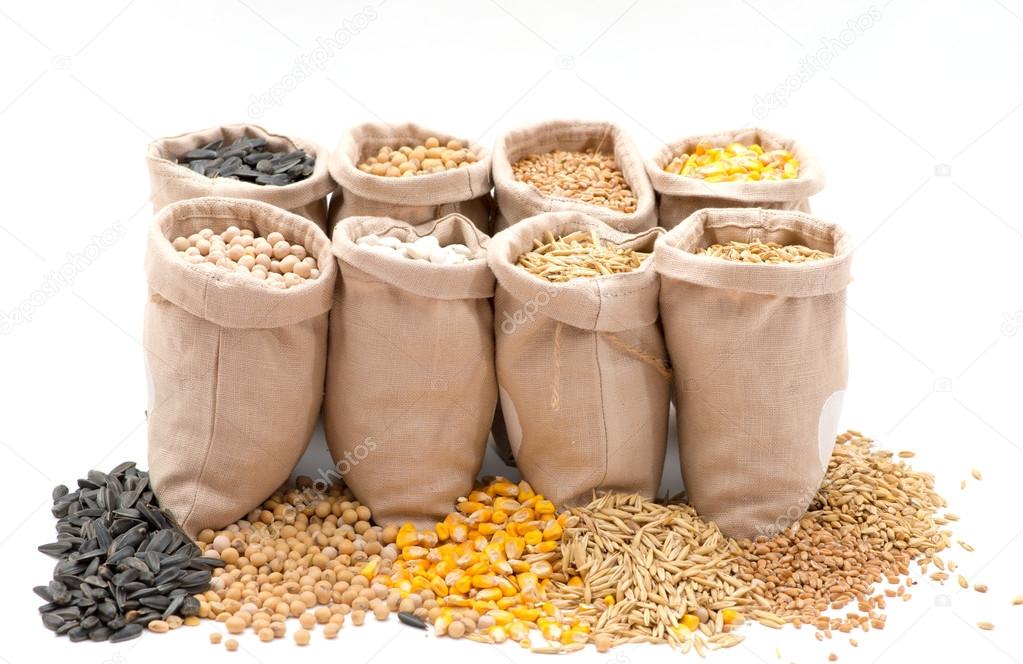 bags with cereal grains (oat, barley, wheat, corn, beans, peas, soy, sunflower)