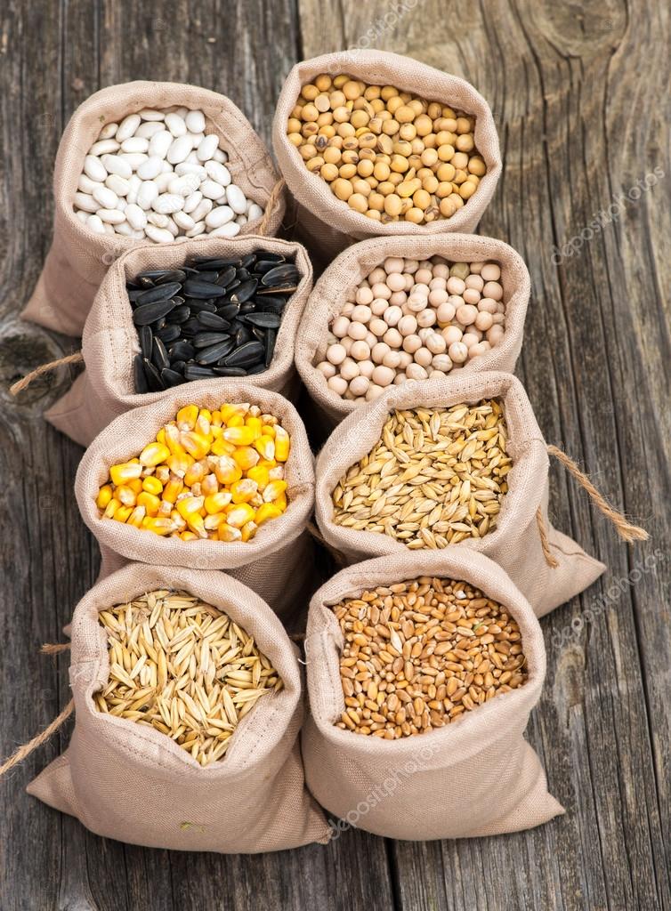 Bags with cereal grains (oat, barley, wheat, corn, beans, peas, soy, sunflower) — Stock Photo