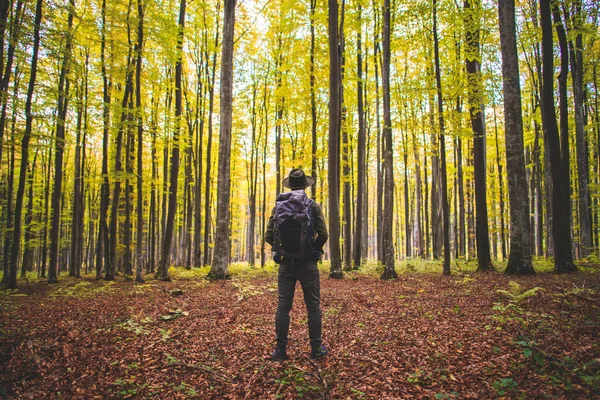 Vue Arrière Jeune Homme Debout Milieu Forêt Avec Son Sac — Photo