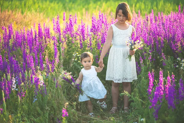 Dos Hermanas Cogidas Mano Cadena Flores — Foto de Stock