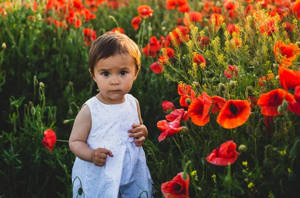 Emotional Child Outdoor Portrait Nice Little Girl White Dress Poppy — Stock Photo, Image