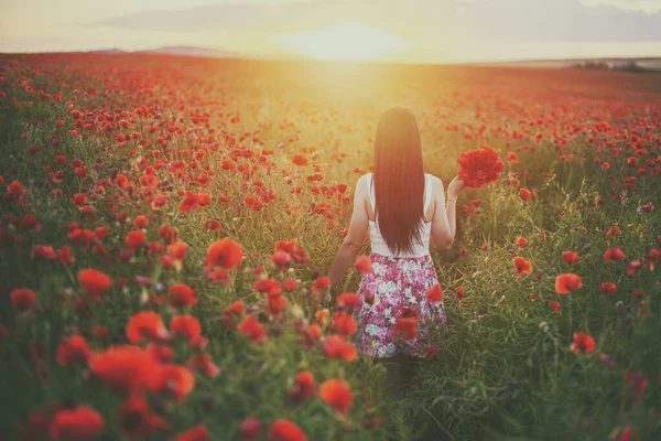 Eine Schöne Brünette Mit Einem Roten Strauß Mohnfeld Bei Sonnenuntergang — Stockfoto