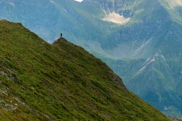 Hombre Cima Del Pico Montaña —  Fotos de Stock