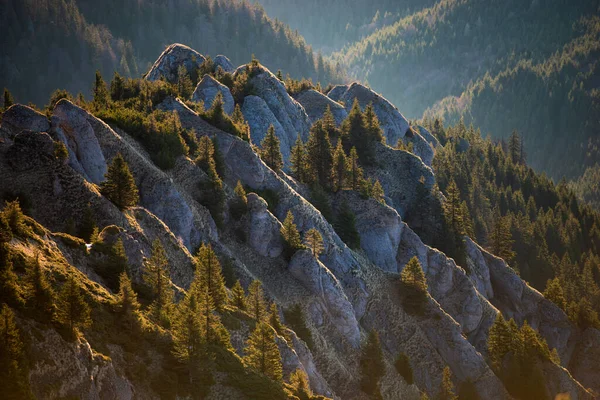 Hermosa Imagen Ciucas Montains — Foto de Stock