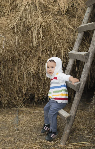 Sweet toddler siting on ladder — Stock Photo, Image