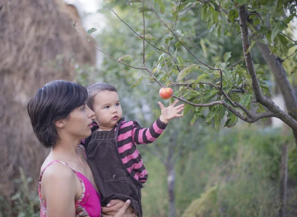 Mother and daughter picking apples — Stock Photo, Image