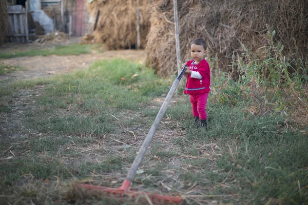 Una pequeña campesina trabajando con un rastrillo — Foto de Stock