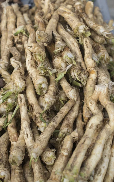 Bunch of horseradish — Stock Photo, Image