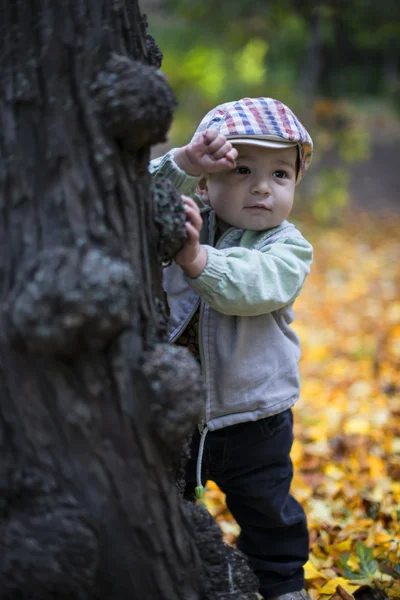 Carino piccolo bambino nella stagione autunnale — Foto Stock